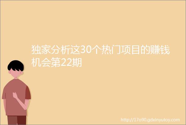 独家分析这30个热门项目的赚钱机会第22期