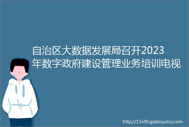 自治区大数据发展局召开2023年数字政府建设管理业务培训电视电话会议