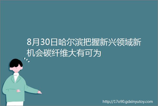 8月30日哈尔滨把握新兴领域新机会碳纤维大有可为